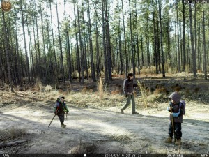 Hikers and sticks 